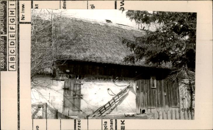obora, skan 2