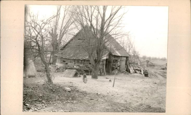 stodoła, skan 2