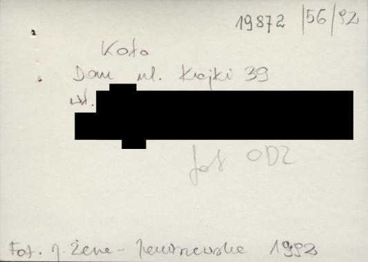 kamienica, skan 4
