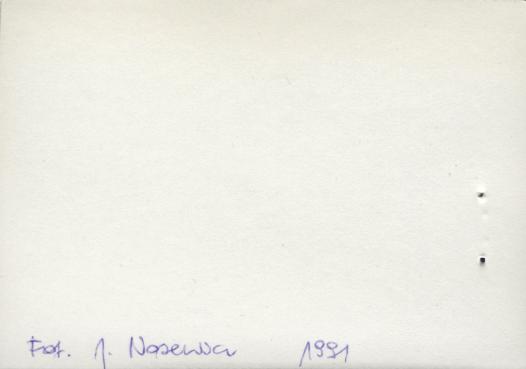 willa p. Wojciechowskiego, skan 4