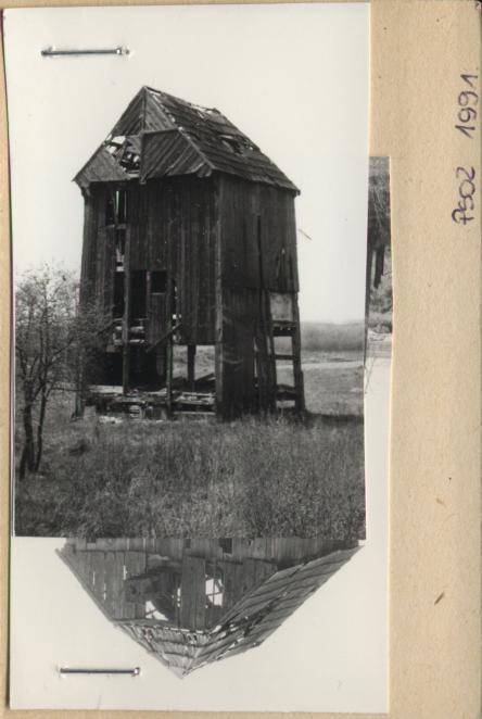 wiatrak koźlak, ob. paltr., skan 3