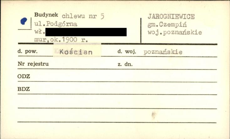 chlew, skan 1