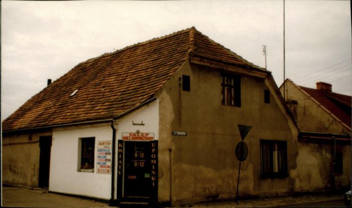 dom, skan 2