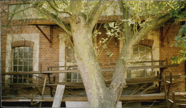 budynek gospodarczy, skan 2