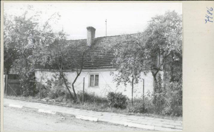 dom, skan 2