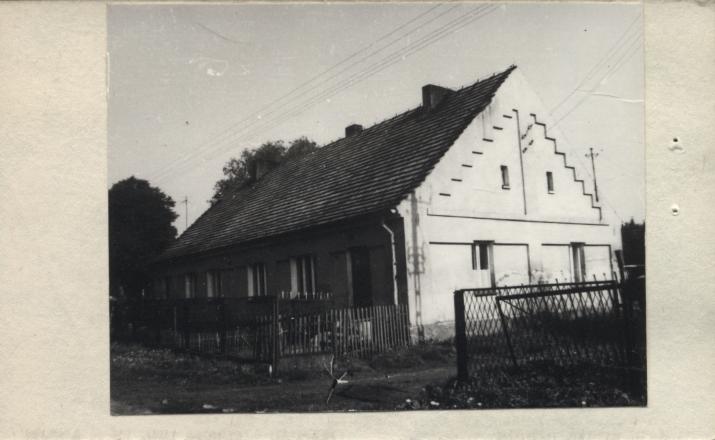 czworak, skan 2