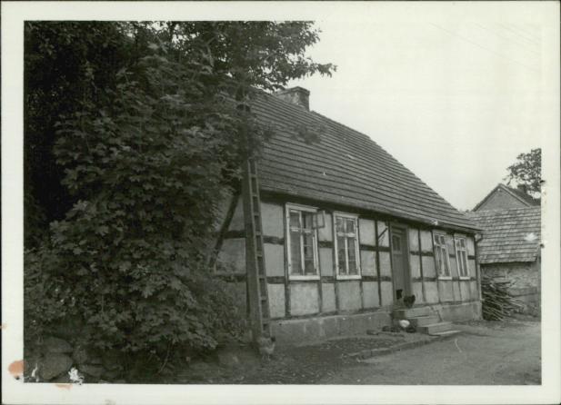 dom, skan 3