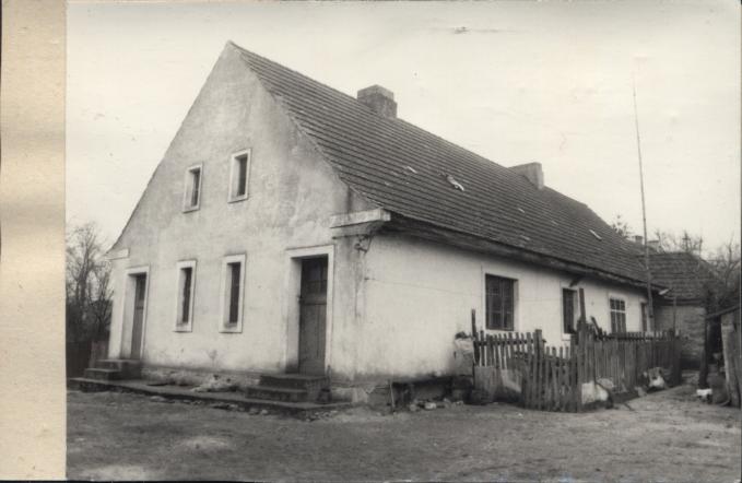 czworak, skan 2