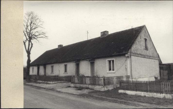 czworak, skan 2
