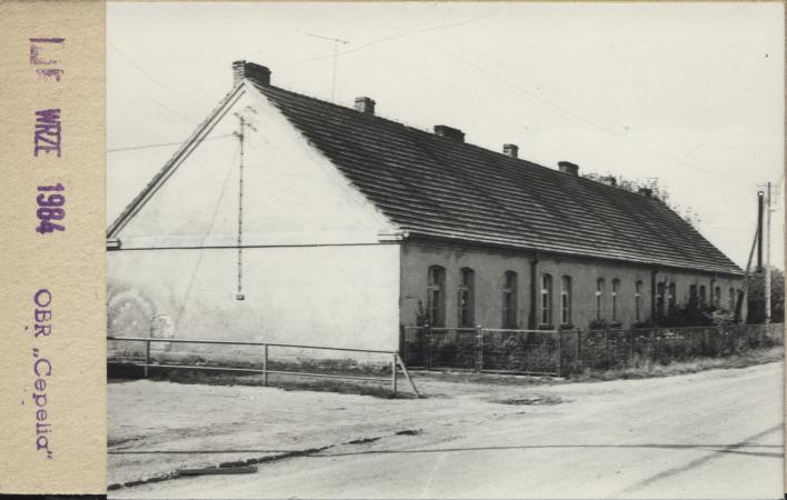 czworak, skan 2
