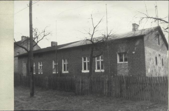 czworak, skan 2