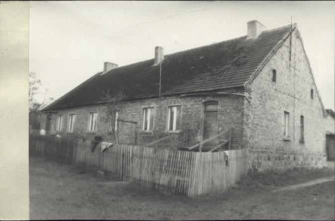czworak, skan 2