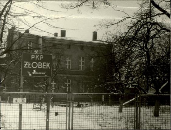 żłobek, skan 3