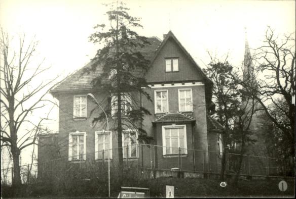 willa, skan 2