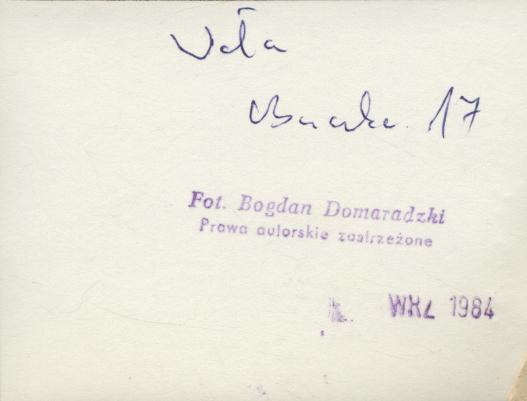 dom, skan 3