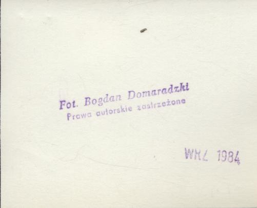 dom, skan 3