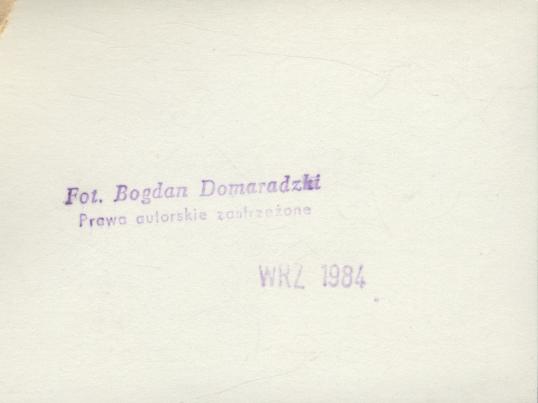 dom, skan 3