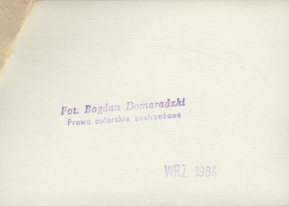 dom, skan 3