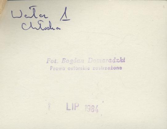 dom, skan 3