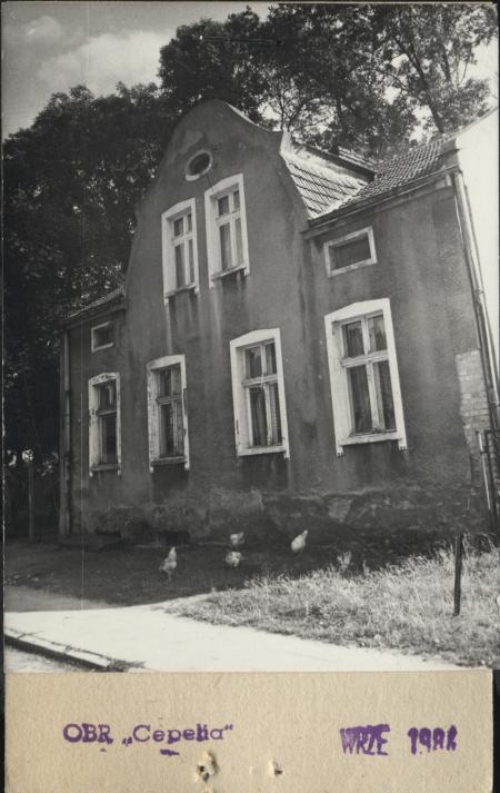 dom, skan 2