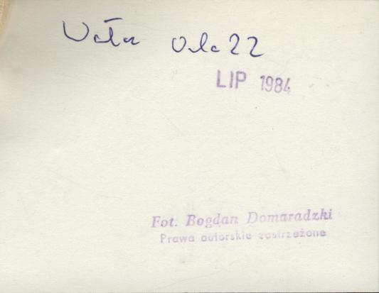 dom, skan 3