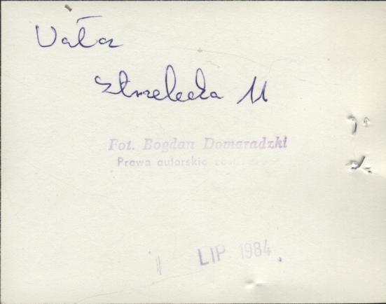 dom, skan 4