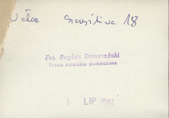 dom, skan 3