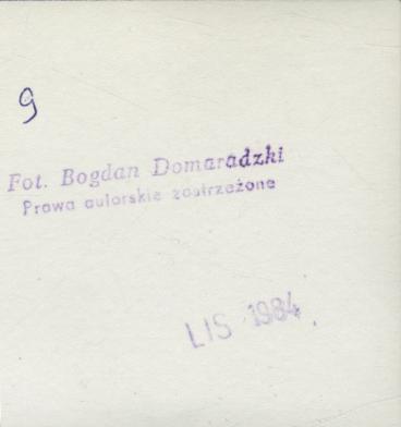 dom, skan 3