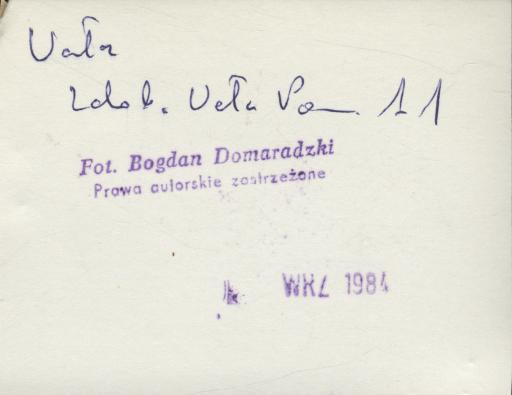 dom, skan 3