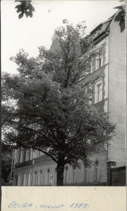 budynek mieszkalny, skan 2