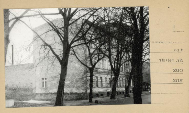dom, skan 2