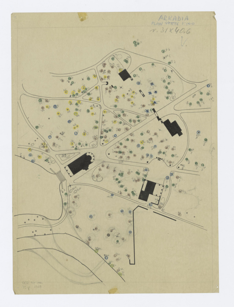 plan sytuacyjny rozmieszczenia drzew i oznaczeń ich gatunków w pobliżu budowli romantycznych 1:500, skan 1