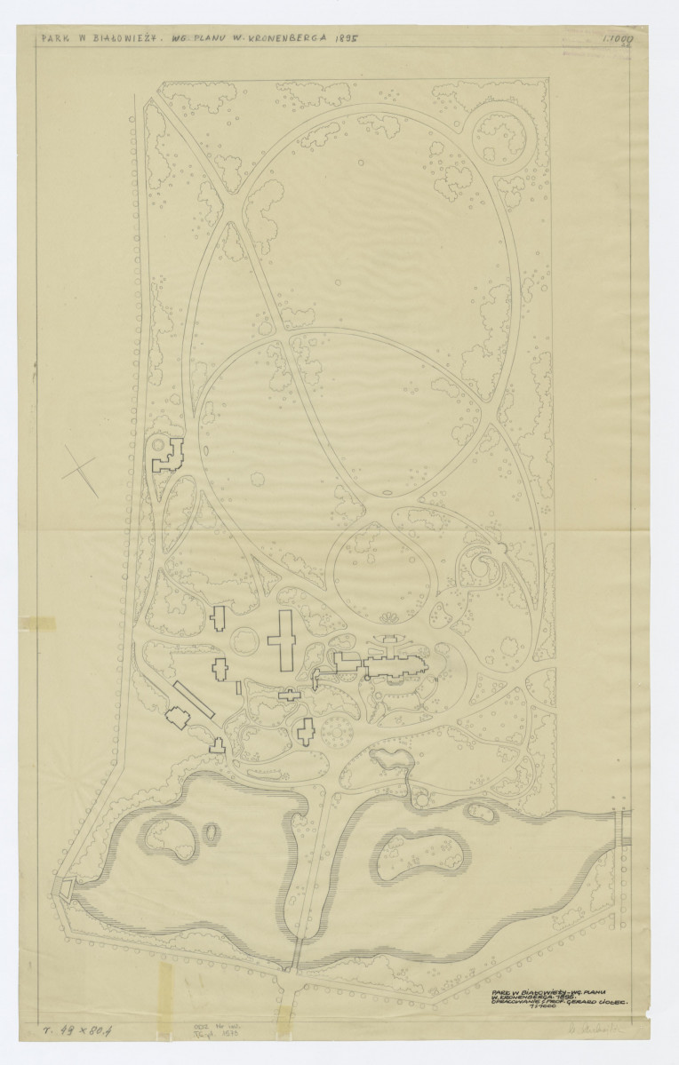 Park w Białowieży - przeskalowany plan sytuacyjny. Według planu W. Kronenberga z 1895 roku 1:1000, skan 1