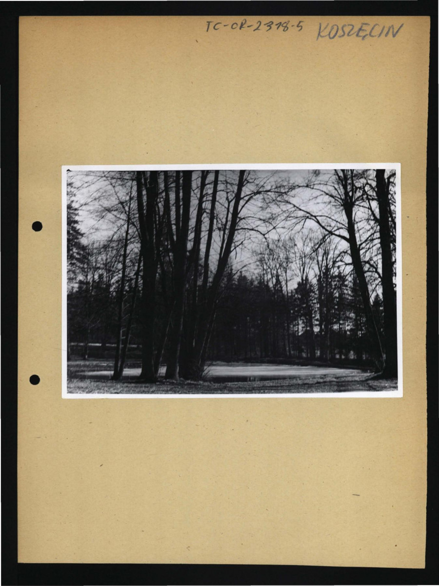 fotografia czarno-biała przedstawiająca fragment założenia parkowego w tej miejscowości, skan 1