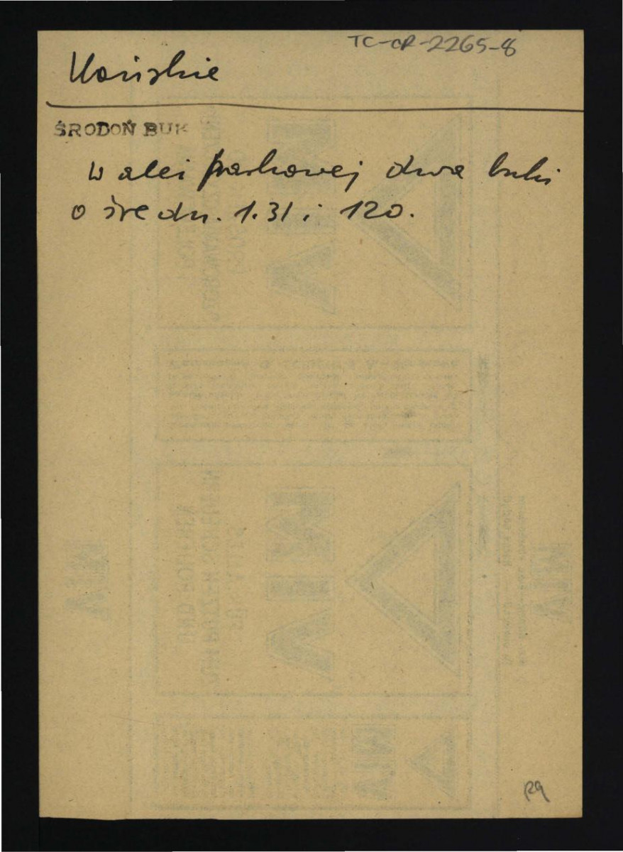 wypis z Środoń A., Materiały do inwentarza zabytkowych buków w Polsce w: „Ochrona Przyrody” R. 17 (1937) dotyczący zabytkowych buków w alei parkowej , skan 1
