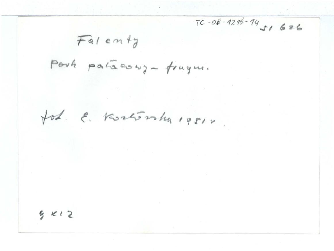 13 fotografii czarno-białych; autor: n.n.; w tym: jedna z planem dotycząca Falantów i Raszyna na podstawie planów S. B. Zuga (1784 r.; Gabinet Rycin UW, zb. W. Jeź. 24) wykonana w 1950 r.; jedna z regulacją spadku terenu z Falent do Raszyna na podstawie planów tego samego architekta (Gabinet Rycin UW zb. W. Jeź. 75) wykonana w 1958 r. dziewięć wykonanych przez E. Kozłowską w roku 1951 r. (dwie na kartach) przedst. pałacowy park; dwie odbitki spośród wcześniej wymienionych; jedna nie podpisana również ukazująca park w Falentach                                                                                 , skan 13