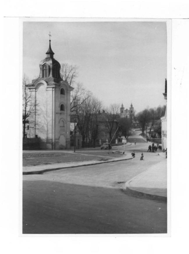 13 fot. cz.-b. przedst. ogród przy miejscowym pałacu , skan 5