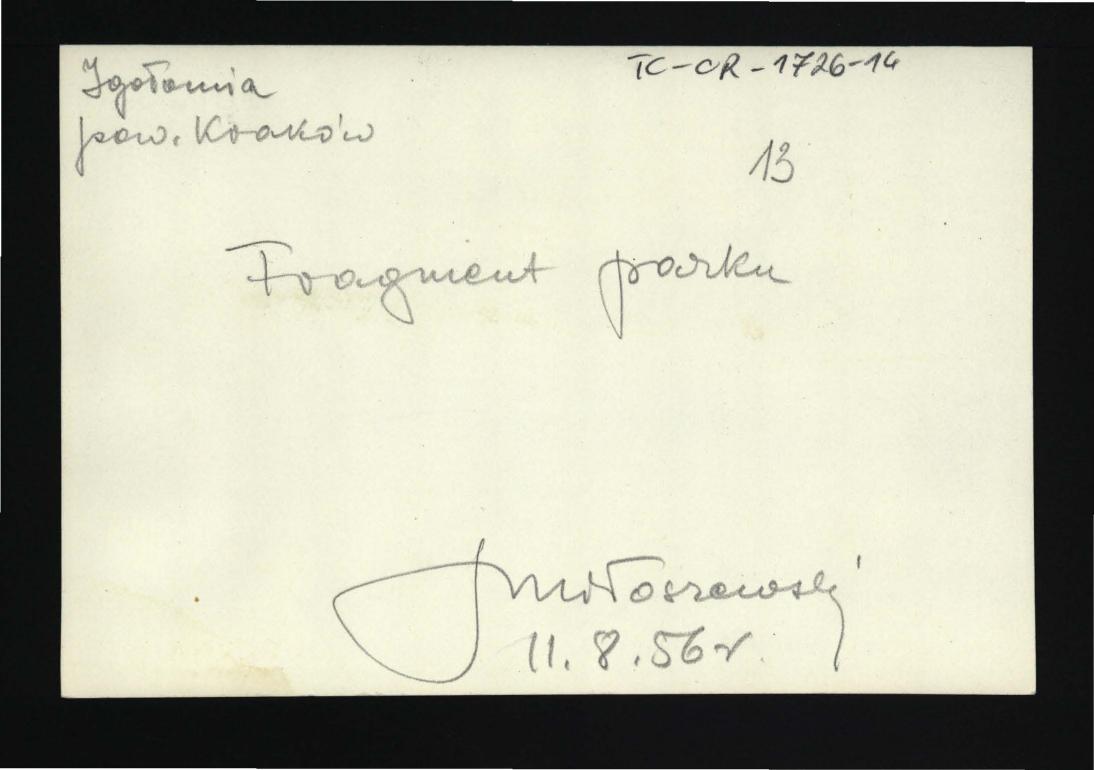 3 fotografie czarno-białe przedstawiające fragment elewacji frontowej pałacu oraz pobliski park; 11 sierpnia 1956 r.                                           , skan 2