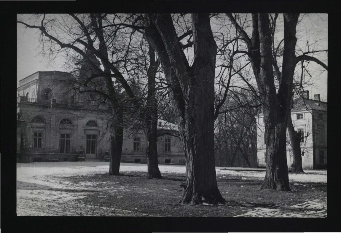 fotografia czarno-biała ukazująca starodrzew przed pałacem, skan 1