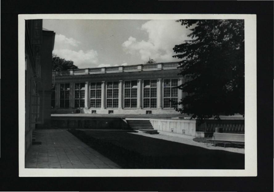 fotografia czarno-biała ukazująca fragment oranżerii , skan 1