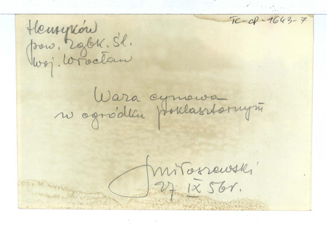 fotografia czarno-biała; waza w ogródku klasztornym, skan 2