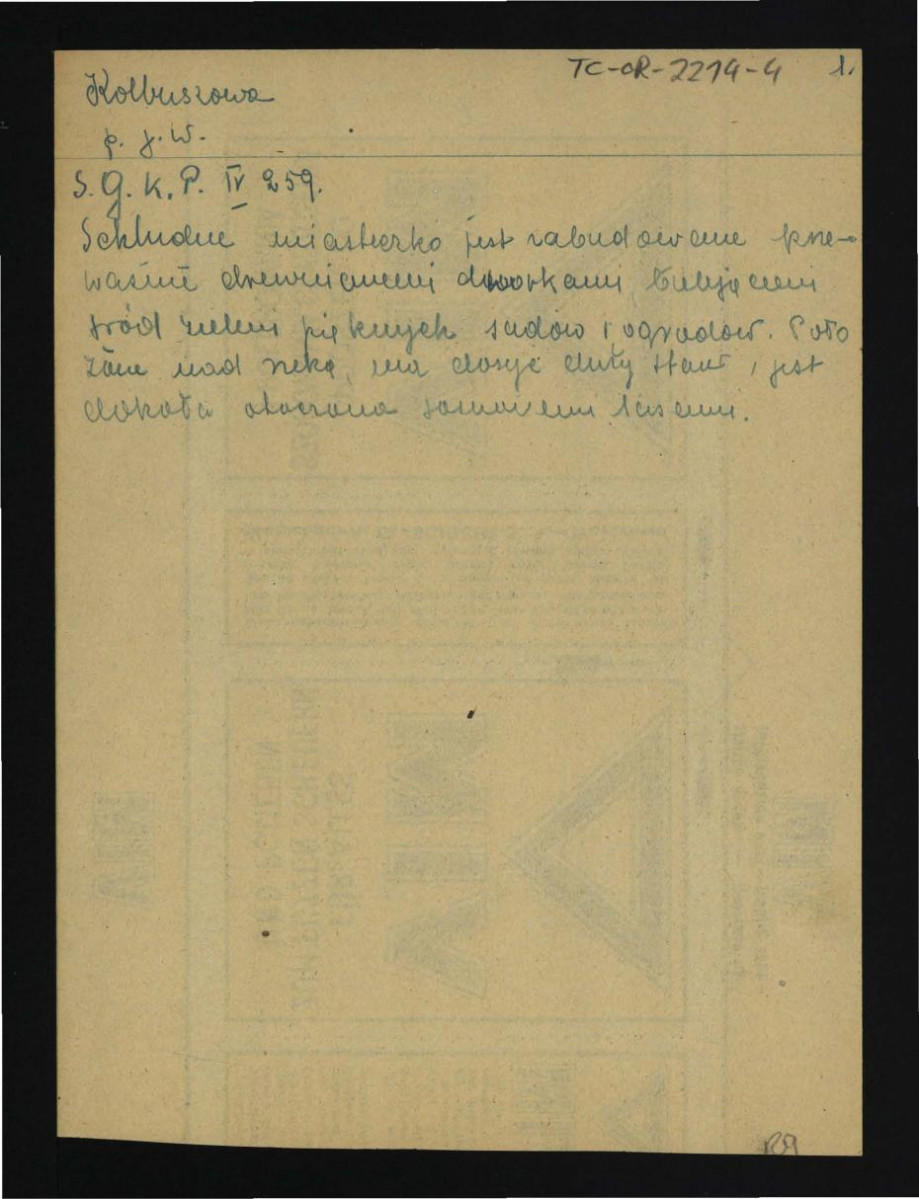 wypis ze Słownik Geograficzny Królestwa Polskiego t. IV, s. 259-260 dotyczący zabudowy miasteczka oraz sadów i ogrodów , skan 1