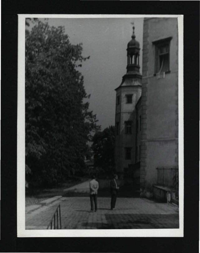 7 fotografii czarno-białych przedstawiających miejscowy zamek, skan 4