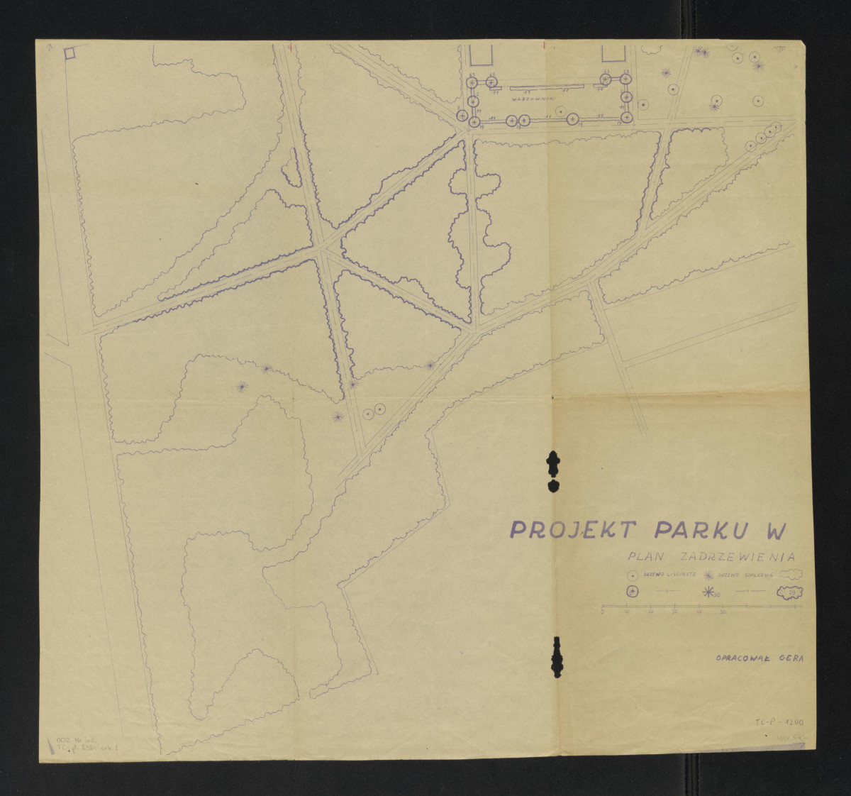 Projekt parku, plan zadrzewienia, skan 1