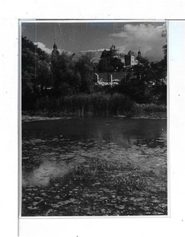 26 fotografii czarno-białych, skan 4