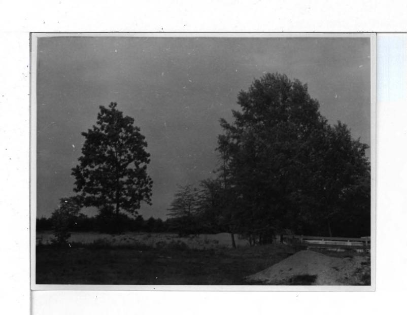 26 fotografii czarno-białych, skan 19