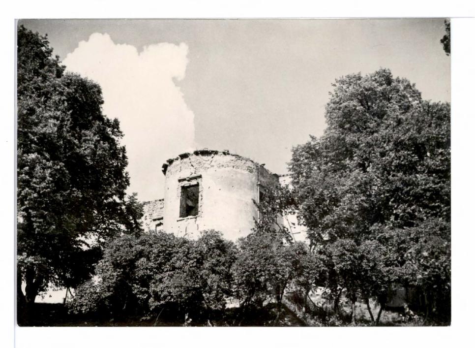 fotografia czarno- biała.; w formie widokówki ukazującej ruiny miejscowego zamku  , skan 1