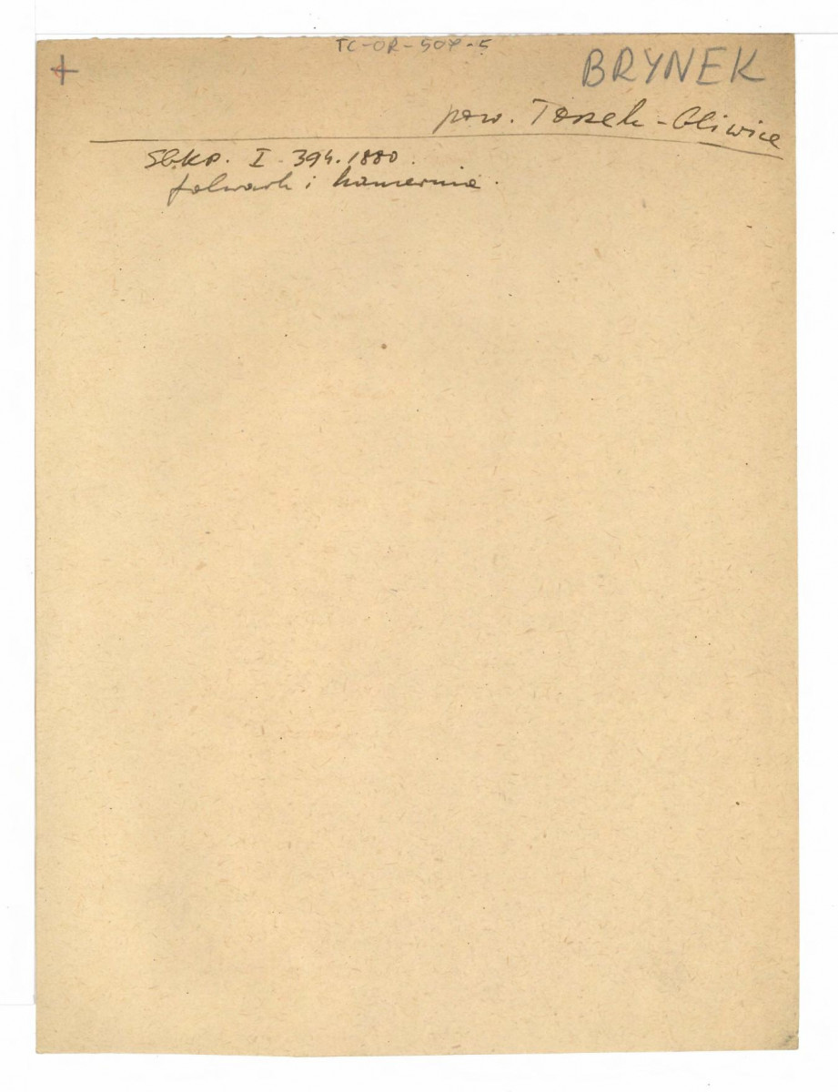 odnośnik do Słownik Geograficzny Królestwa Polskiego t. I 394. 1880, skan 1