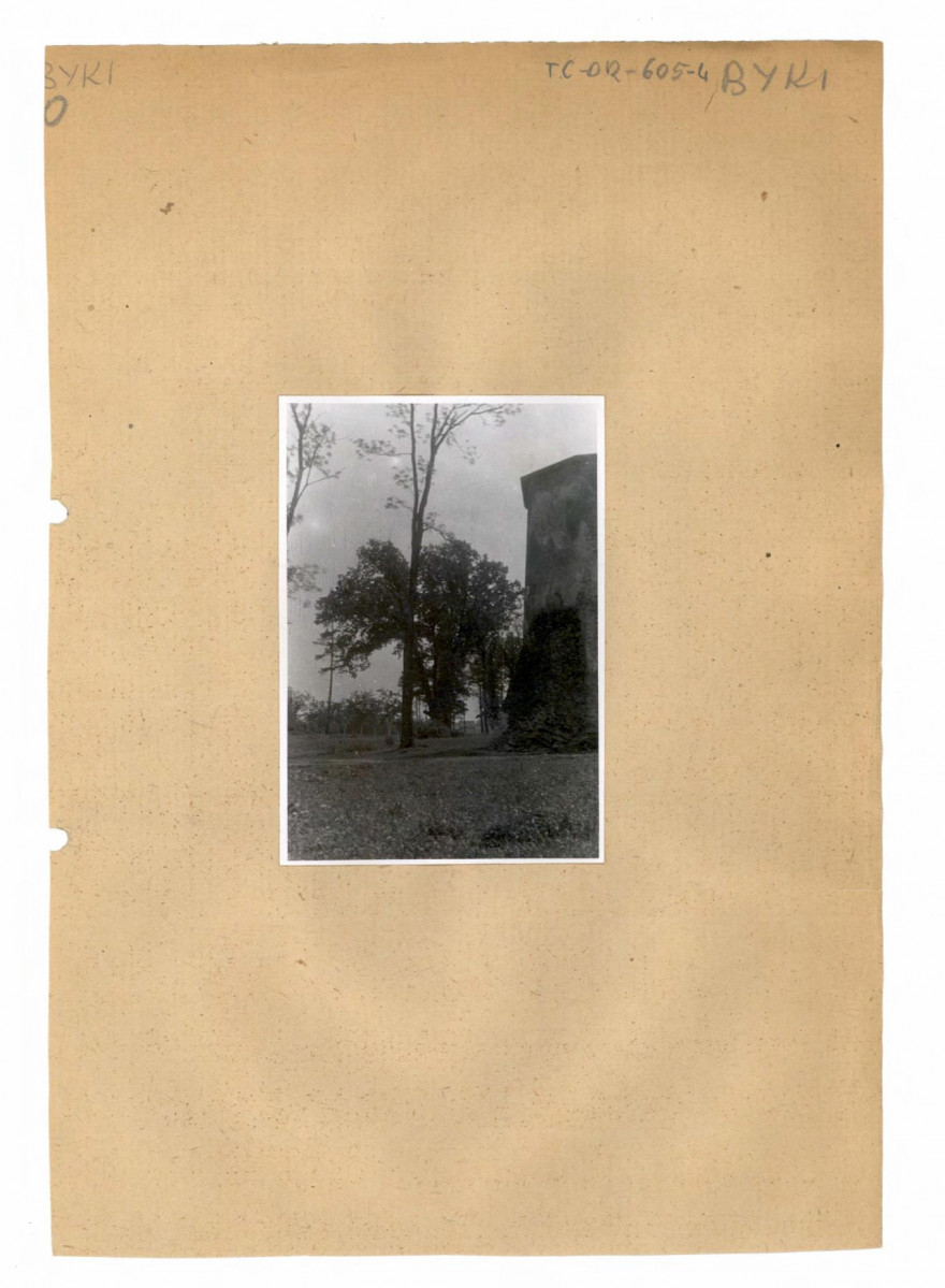 fotografia czarno - biała, skan 1