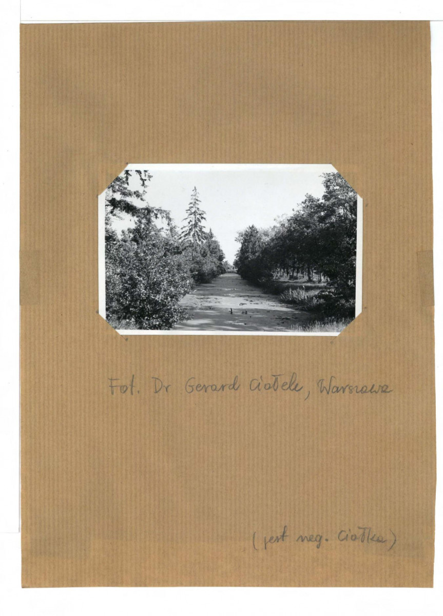 5 fotografii czarno-białych; park; ok. 1950 r. , skan 3